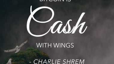 bitcoin is cash with wings